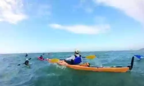 海神庙阵容(原神心海阵容)插图1