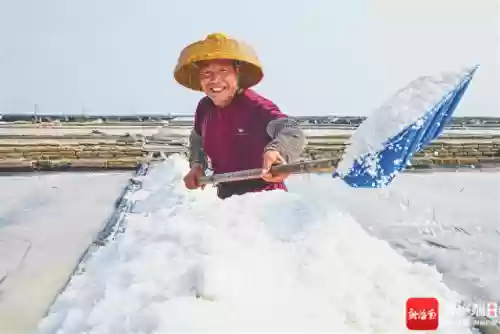 初级盐场阵容(海格石墩阵容)