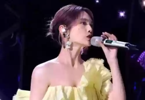 歌手阵容外籍(美籍华人歌手有哪些)插图6