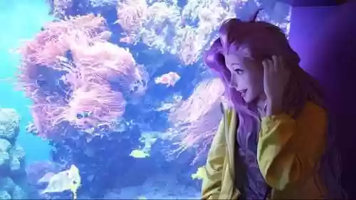 碧波水炮阵容(四阶水法炮怎样搭配秒的多)插图6