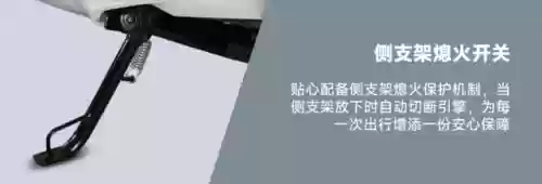 轻量化阵容(宝可梦t0阵容)插图13 轻量化阵容(宝可梦t0阵容)插图13