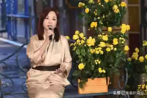 超强港星阵容(支持占中的港星名单)插图16
