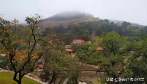 海潮试炼阵容(潮灵王国阵容搭配攻略)插图10