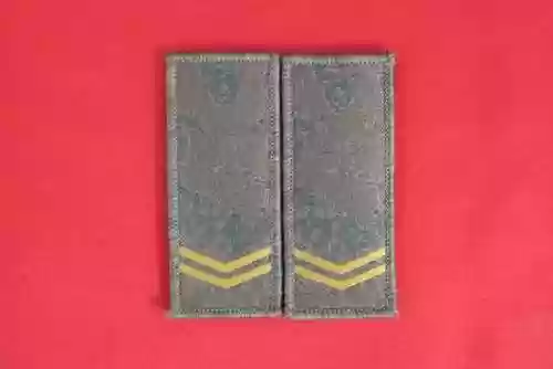光明哨位阵容(光明哨兵阵容装备最新)