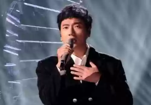 歌手阵容外籍(美籍华人歌手有哪些)插图5