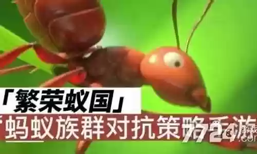 驾驶员蚂蚁阵容搭配