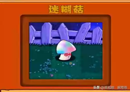 小众下棋阵容(下棋最新版本最强阵容)