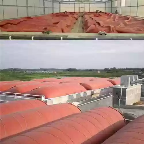 树桩放气阵容(植物大战僵尸2阵容)插图1