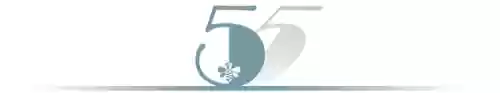 笑傲红尘阵容(新笑傲江湖华山最强侠客搭配)插图8