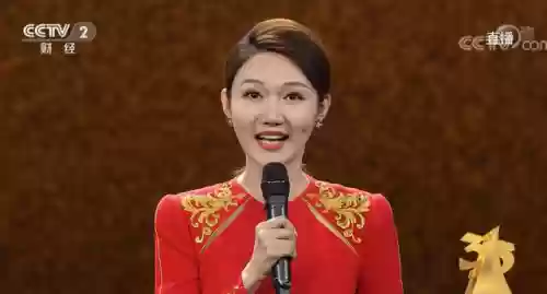 2022央视阵容(央视春晚主持人阵容正式公布)插图7