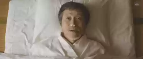 浅田家阵容(宝可梦t0阵容)插图1