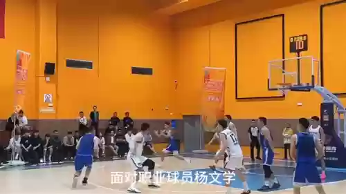甘洛队阵容(甘雨的两大主流阵容)