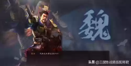曹魏的阵容(三国曹魏十大名将)