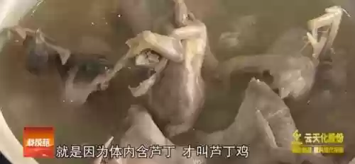 米利虫子阵容(米拉奇战记阵容推荐)插图29