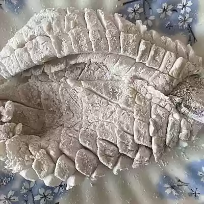 松鼠鳜鱼阵容(食物语松鼠鳜鱼最强阵容搭配)插图11