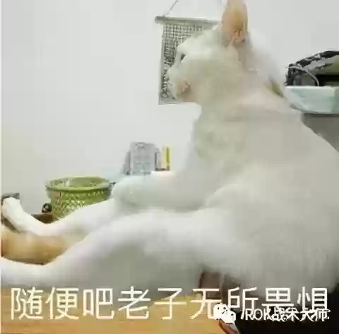 克制爱德华阵容(什么阵型克制442)插图1