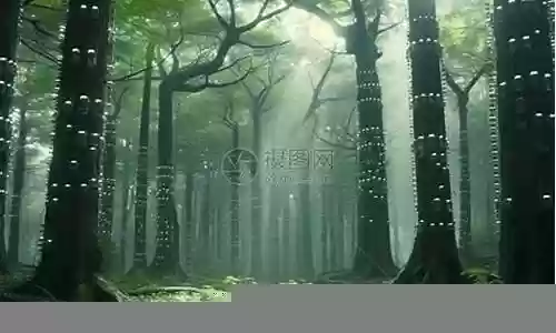次元森林 阵容怎么搭配