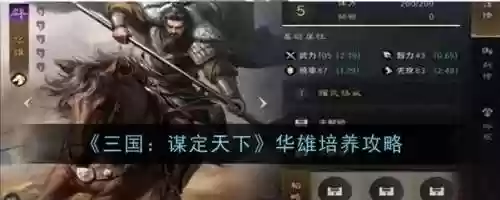 华雄阵容战法(华雄的阵容搭配方案)
