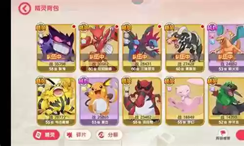 口袋觉醒萌新阵容搭配