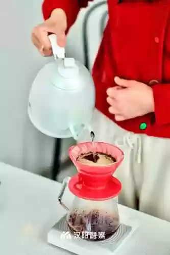 部落排队阵容(部落冲突攻略大全阵型分享)插图13