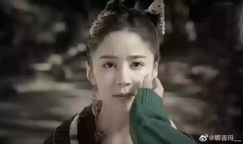 真相东宫阵容(真假东宫全集免费版)插图11
