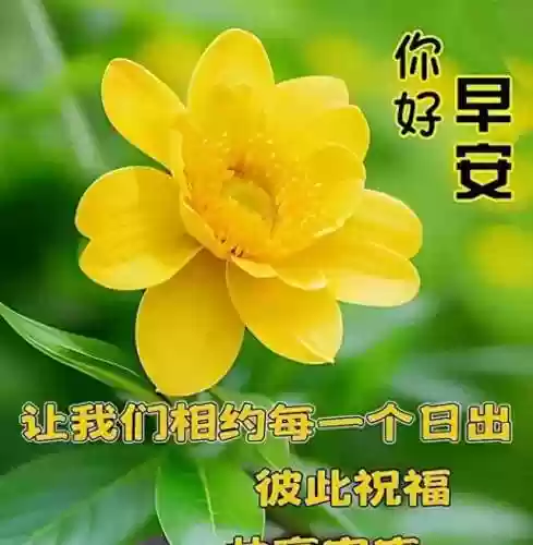 朋友阵容文案(朋友圈推广文案)