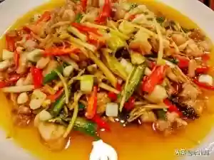 美人蛙阵容(宝可梦t0阵容)插图15