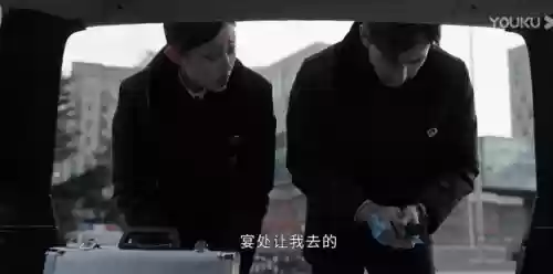 真相东宫阵容(真假东宫全集免费版)插图4