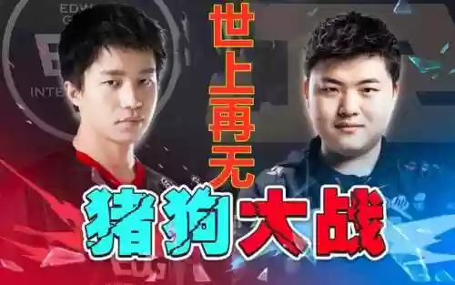 猪狗的阵容(打养猪流什么阵容最好)插图8