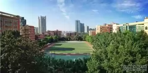 皇冠师资阵容(上古王冠阵容搭配)插图8