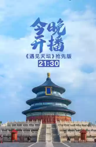识宝阵容推荐(寻道大千最强阵容搭配)