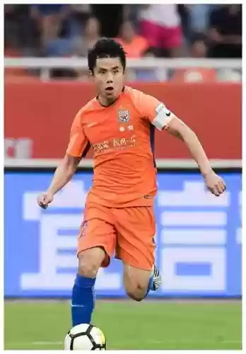 鲁能历来阵容(鲁能球员全部名单)插图7