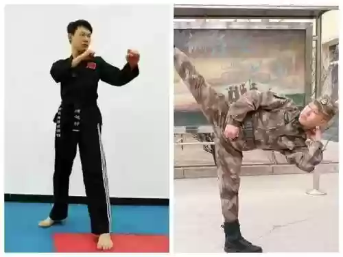 光明哨位阵容(光明哨兵阵容装备最新)插图26