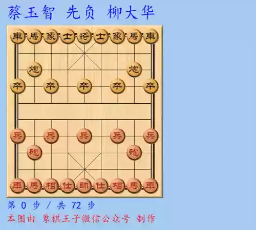 柳大华阵容(武峰乐进t0阵容)插图2