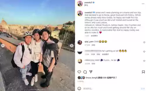 甄子丹家庭阵容(赵文卓甄子丹战队图)