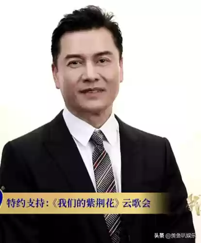 超强港星阵容(支持占中的港星名单)插图8