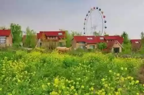 清乐竹林阵容(阴阳师单体阵容)插图10