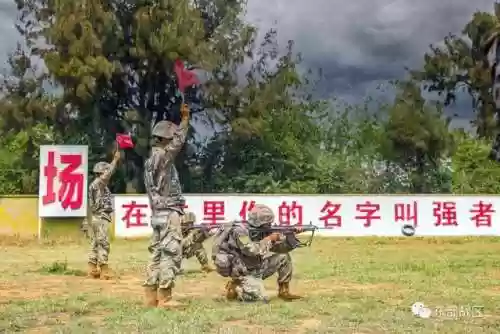 硬核冲锋阵容(强音对决最强阵容搭配)插图14