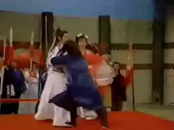 杨康阵容搭配(新射雕群侠传之铁血丹心杨过阵容)插图17