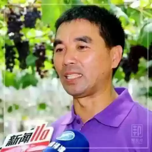 2018葡萄阵容(英格兰国家队主力阵容)插图7