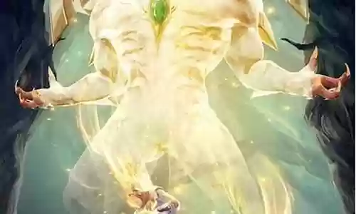 菊花武魂阵容搭配