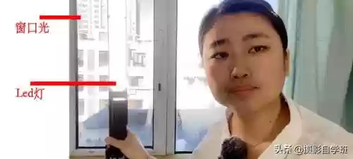 桔子摄影阵容(动物自走棋阵容推荐)插图1