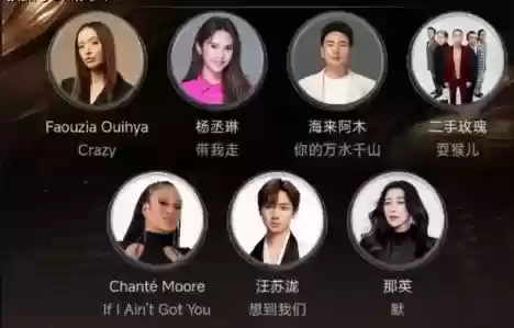 公益歌手阵容(乡村音乐和高能流行阵容)插图1