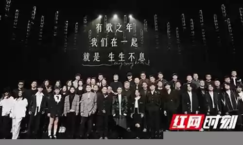 声声不息乐队阵容搭配