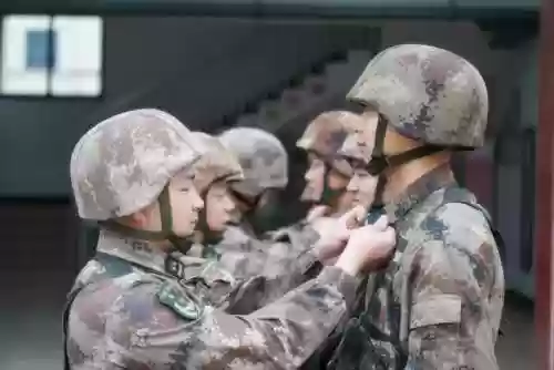 光明哨位阵容(光明哨兵阵容装备最新)插图5