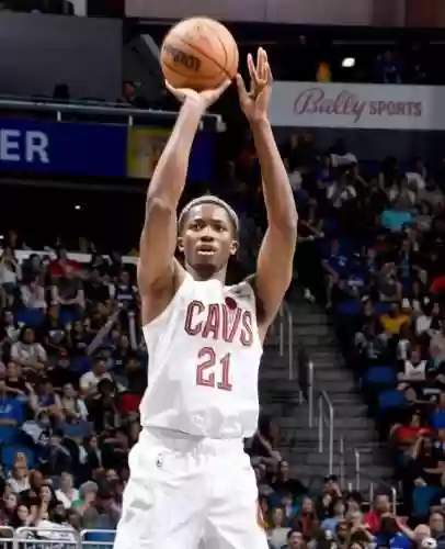 灰熊队阵容裁员(nba灰熊队球员名单)插图2