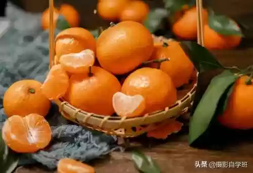 桔子摄影阵容(动物自走棋阵容推荐)插图7