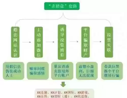 王者舰队阵容(荣耀舰队最强阵容)