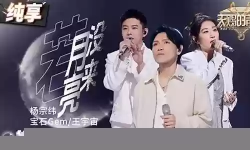催泪歌手阵容搭配