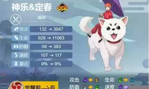 定春阵容搭配